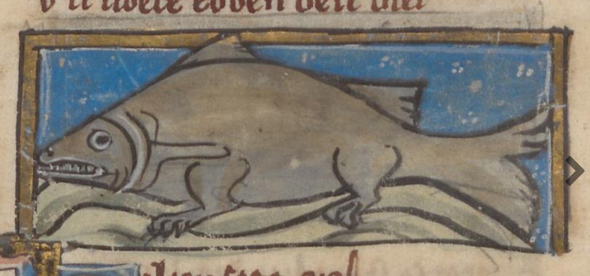 Chuberdunkus2's tweet photo. medieval manuscript depictions of seals https://t.co/SJu9utHbPx