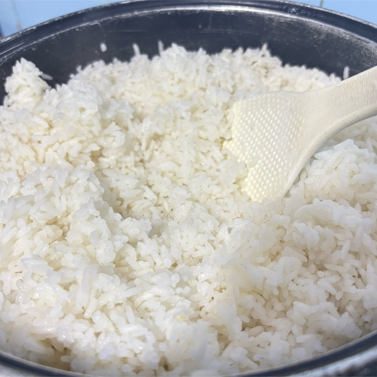 coklatecookie's tweet photo. siapa yg baru tau ternayata
masak nasi di kompor jauh lebih cepat dri pada di mejikom  ✨ https://t.co/8xObeVIwzw
