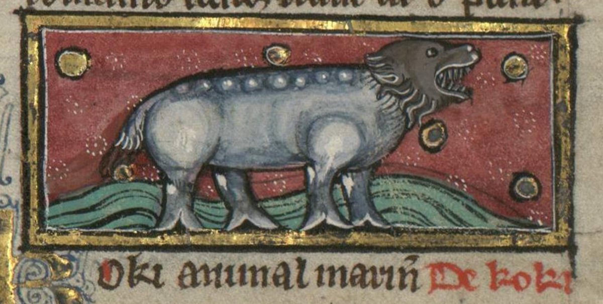 Chuberdunkus2's tweet photo. medieval manuscript depictions of seals https://t.co/SJu9utHbPx