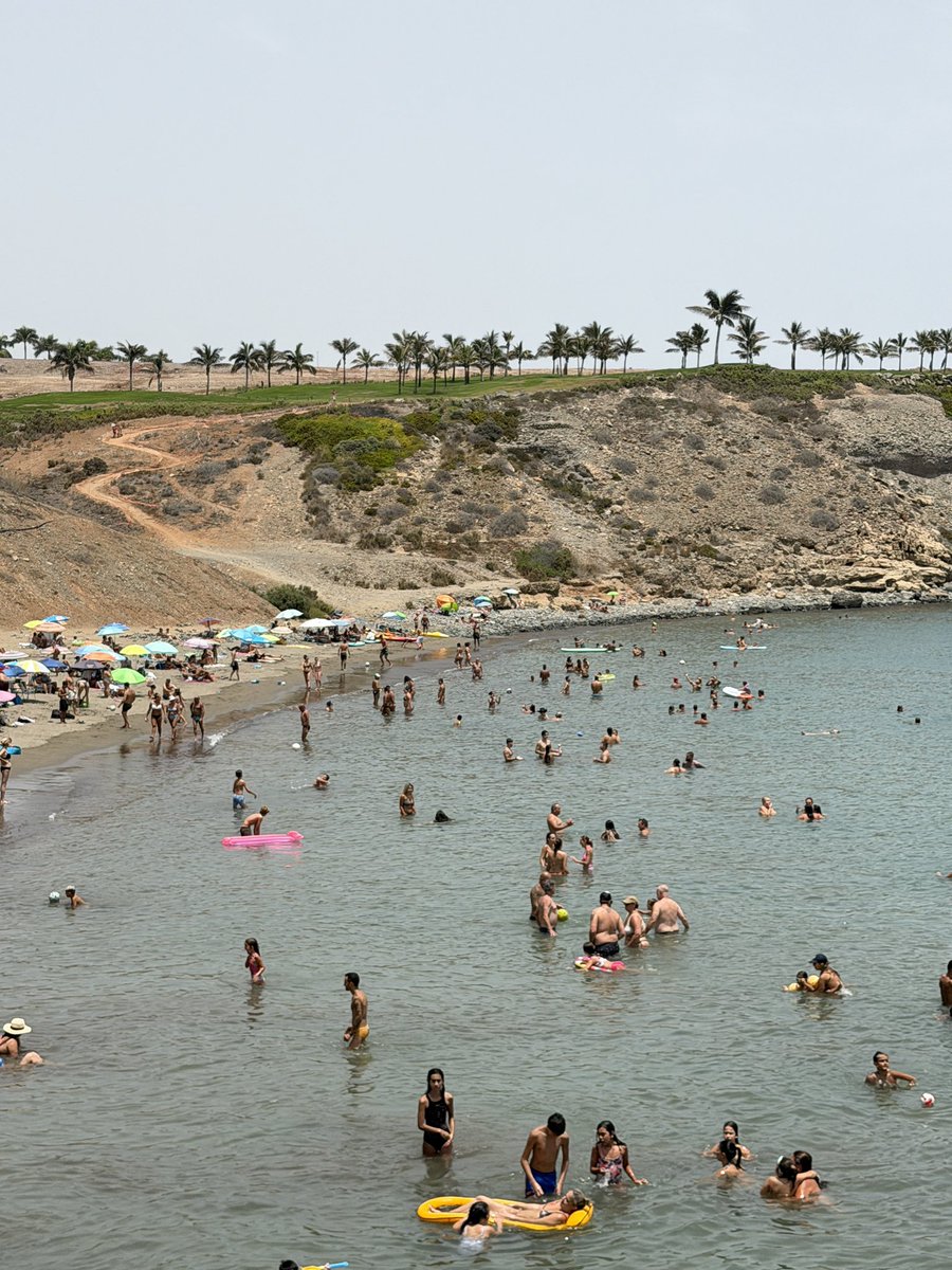 mycanaryislands tweet picture