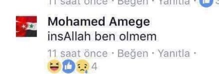 sybil tweet media