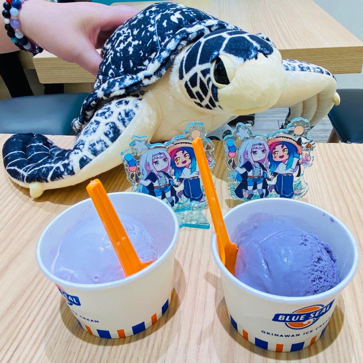 1sititi's tweet photo. 名古屋②：料理とか！
・夕飯のひつまぶし。パリパリ焼き加減と山椒が美味！
・シャチショー見つつイルカアイス
・アクスタにアイスを描いてたので、ひつまぶし後にもアイス🍨 水族館で買った飼育員さん監修アオウミガメ(オス)ぬいを添えて🐢
・綺麗なお魚 https://t.co/Lb3ls44Xf0