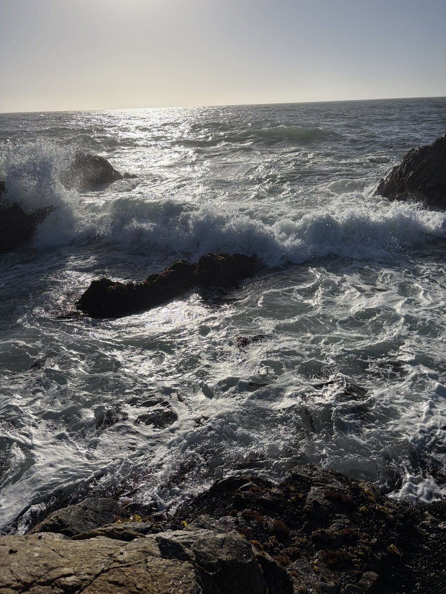 WUhoops's tweet photo. Beautiful day on the PCH! What an amazing drive! So many great spots along the way! https://t.co/OBoZepbkbb