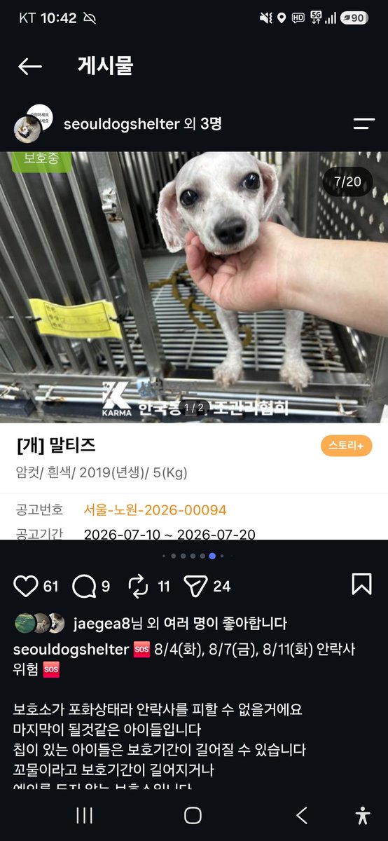 animalrtaccount's tweet photo. 안락사예정.
입양문의 동구협 https://t.co/rkhX0ukmwy
031 867 9119 https://t.co/Lg3E0caXNy