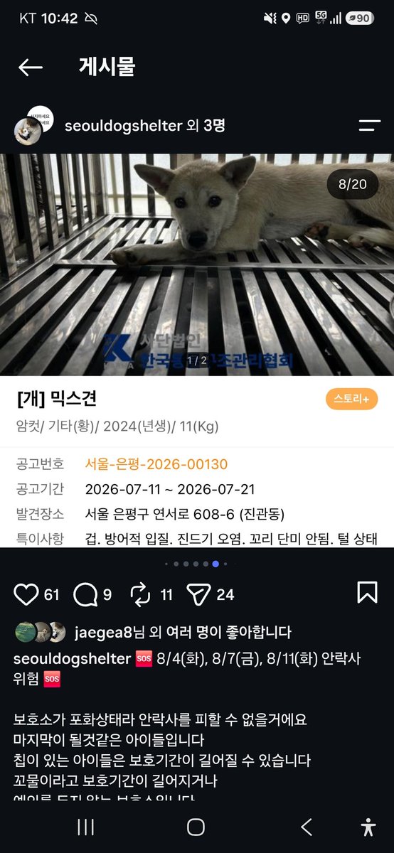 animalrtaccount's tweet photo. 안락사예정.
입양문의 동구협 https://t.co/rkhX0ukmwy
031 867 9119 https://t.co/Lg3E0caXNy