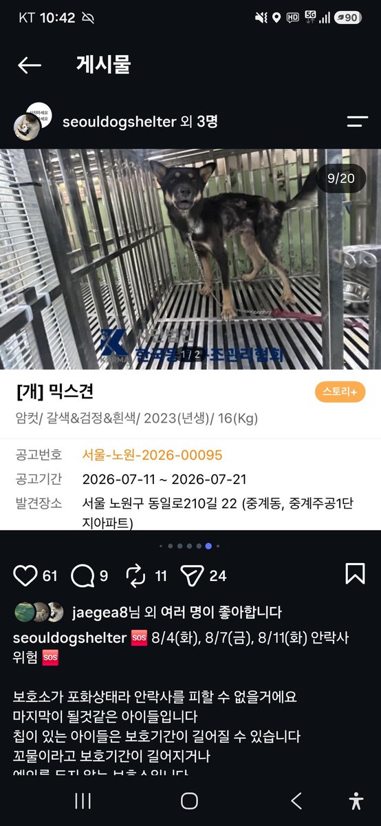 animalrtaccount's tweet photo. 안락사예정.
입양문의 동구협 https://t.co/rkhX0ukmwy
031 867 9119 https://t.co/Lg3E0caXNy