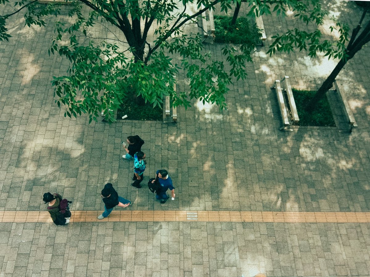shellymisoux's tweet photo. 昼の写真は結構普通に良く撮れるんだよね、PIXPRO。¥15,000、良い仕事する。 https://t.co/eBNNrEhMrc