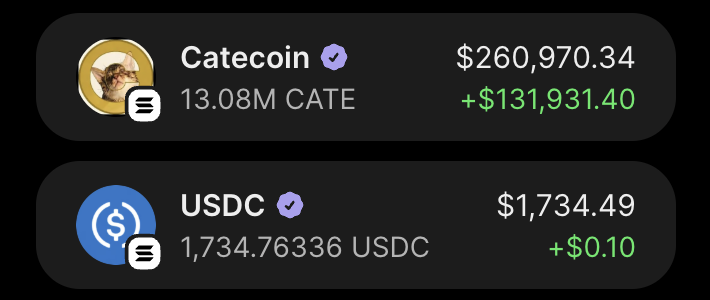 KaikoHQ's tweet photo. A couple of days ago, I bought $CATE for no particular reason, I just liked the meme.

I bought exactly 10 $SOL, and today they’re worth over $260K.

This is only possible with memecoins and crypto. 

Keep grinding and lock in. https://t.co/nledeMKFGk