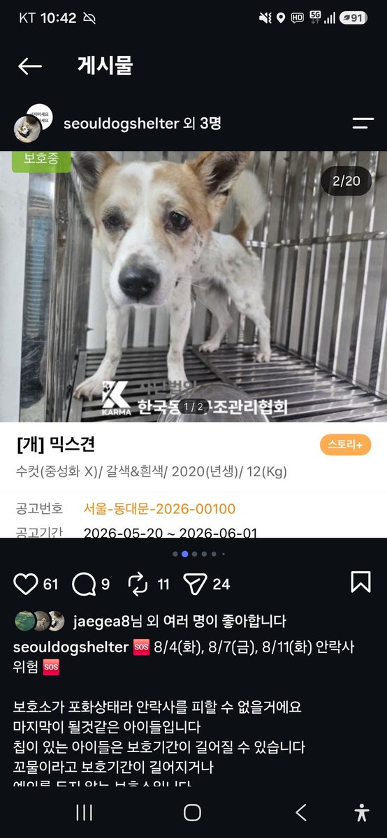 animalrtaccount's tweet photo. 안락사예정.
입양문의 동구협 https://t.co/rkhX0ukmwy
031 867 9119 https://t.co/g5DWmM2307