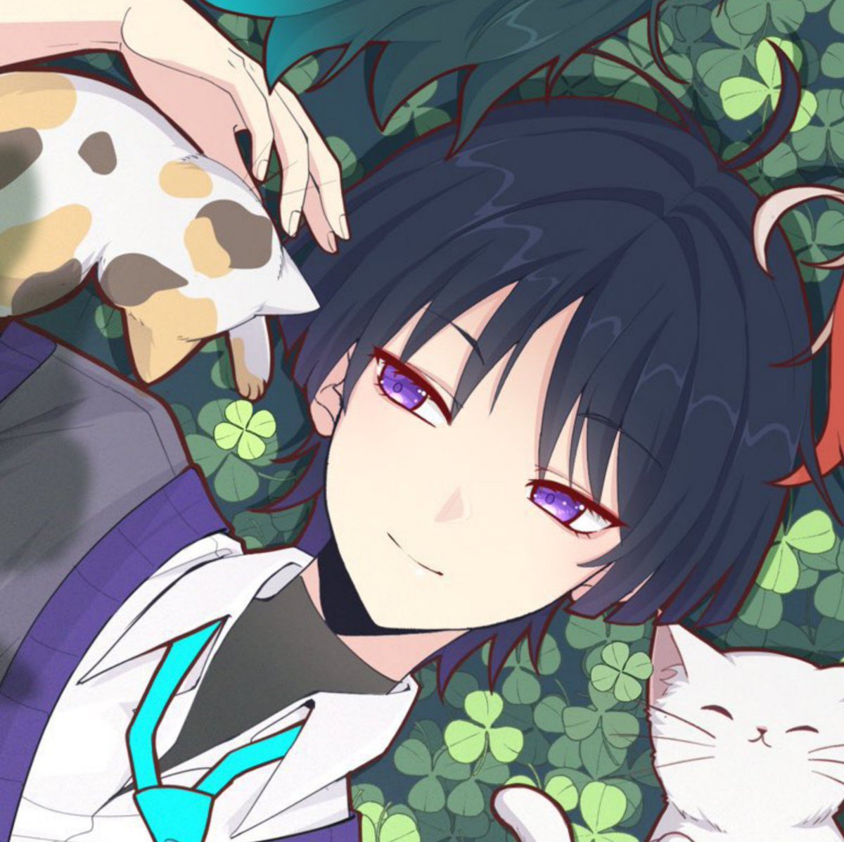 scarasixth's tweet photo. Aww he's so cute https://t.co/UxjwBjkeza