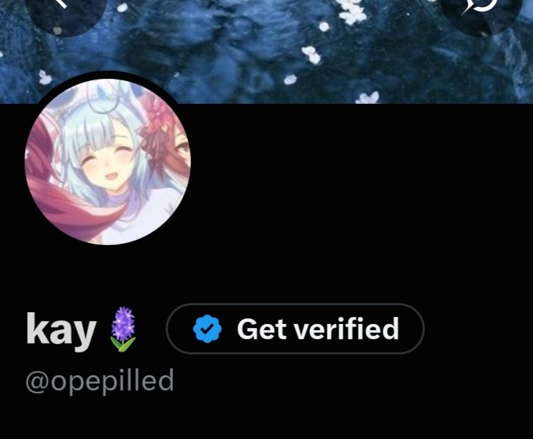 ardanpilled's tweet photo. Hihi!! Decided to make a little change to my user, I was formally known as opepilled!! ^^ https://t.co/B8tXus7Epl
