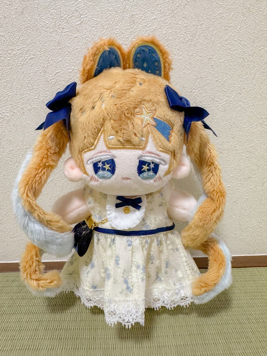 kuriki_'s tweet photo. #ぬいFes夏祭りsp にてSweep Crane(@akatsuki_888)さんより無属性ぬい 夜空のアイシングクッキーちゃんをお迎えさせていただきました〜！
可愛い〜〜の要素が詰まってる！！

うちではピエラちゃんと呼ばせていただきます〜 https://t.co/B7BBui0qFf