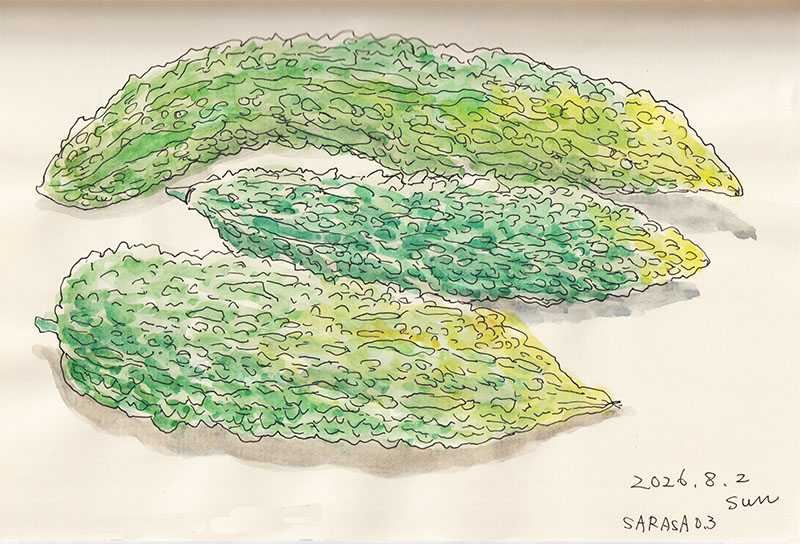midorimintgreen's tweet photo. 色塗り後です😊。

＃ゴーヤ　#ペン画　＃水彩画 https://t.co/QLs6mYOF4a