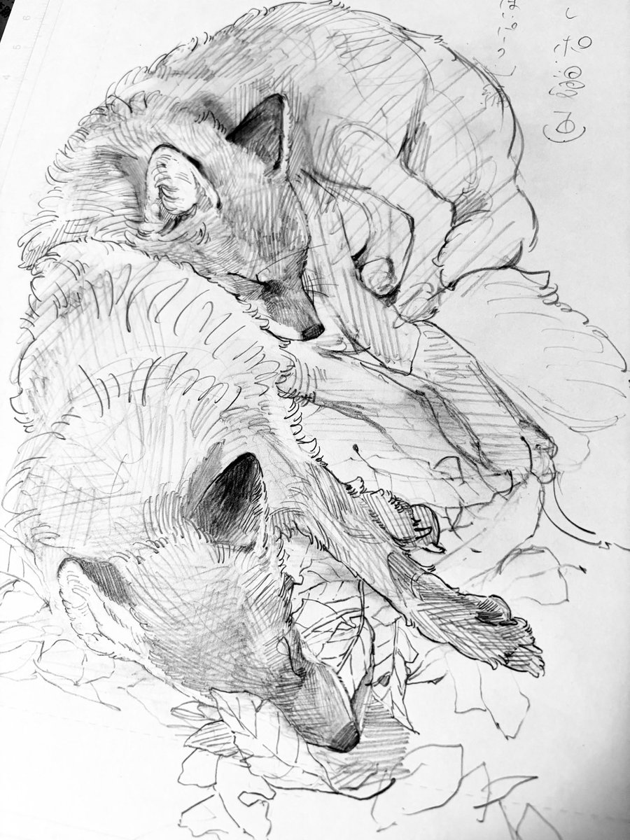 yuzaki0116's tweet photo. 新刊に向けて描き始めています🦊 https://t.co/mPjkdCczIr