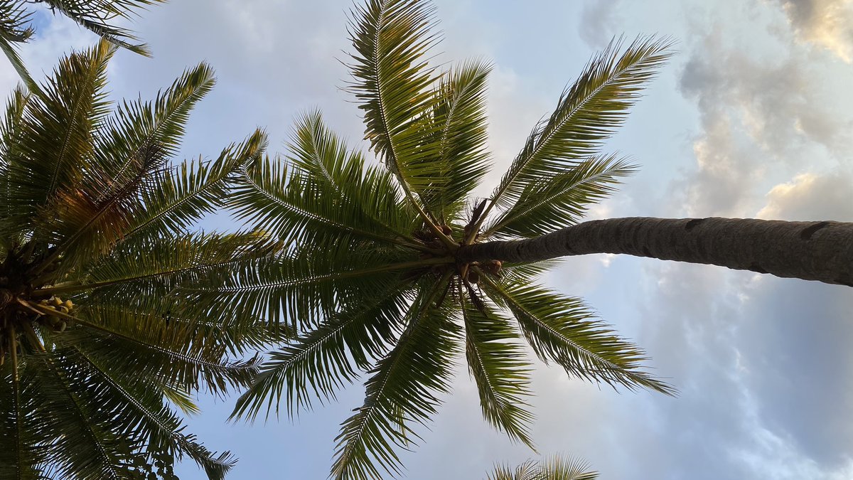 ganaattia's tweet photo. relax https://t.co/diLr3PtX3I