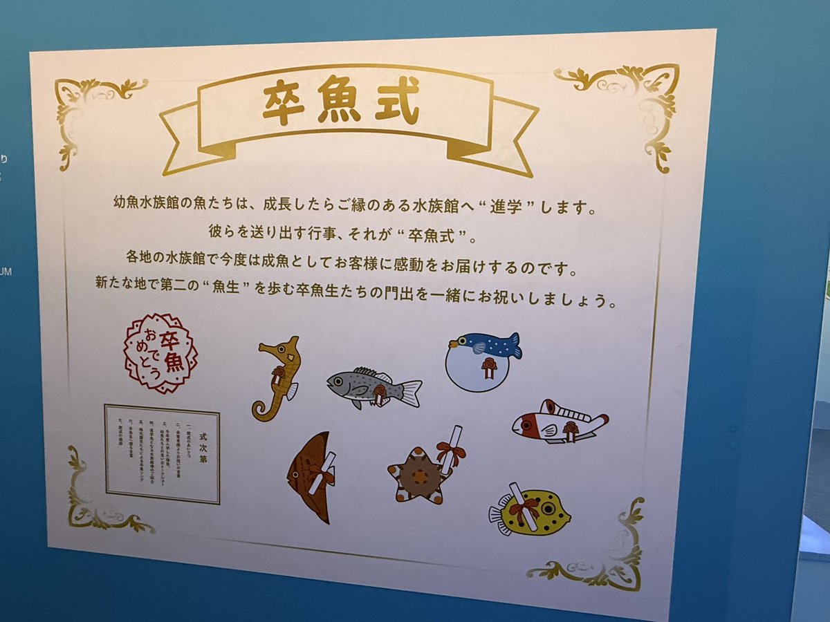 6vbhz's tweet photo. @tan_sui_kabutz 幼魚水族館では卒魚式があります https://t.co/WMX4dxyraM