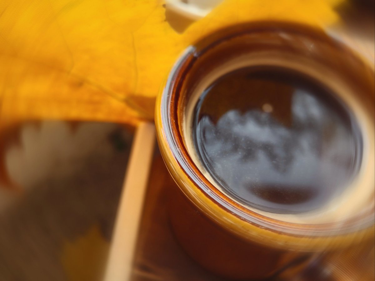 Bewerage1's tweet photo. Perfect sunny autumn afternoon , sipping coffee while leaves dance around. Life’s simple joys hit different this time of year! https://t.co/TUDg7gmxMx