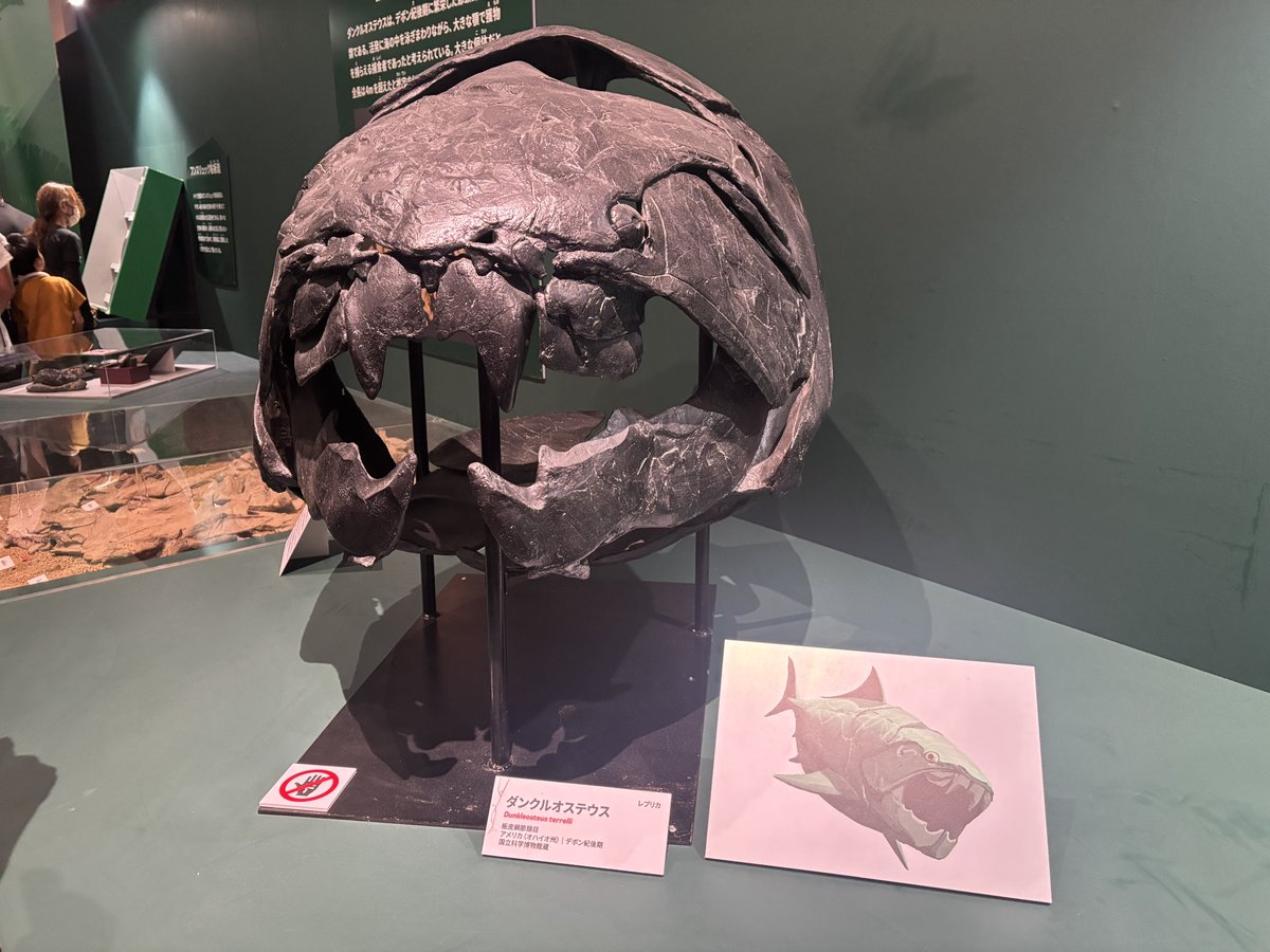 yusuke0902cup's tweet photo. 大絶滅展行ってきました🦖 https://t.co/mdPWrFmRQ2
