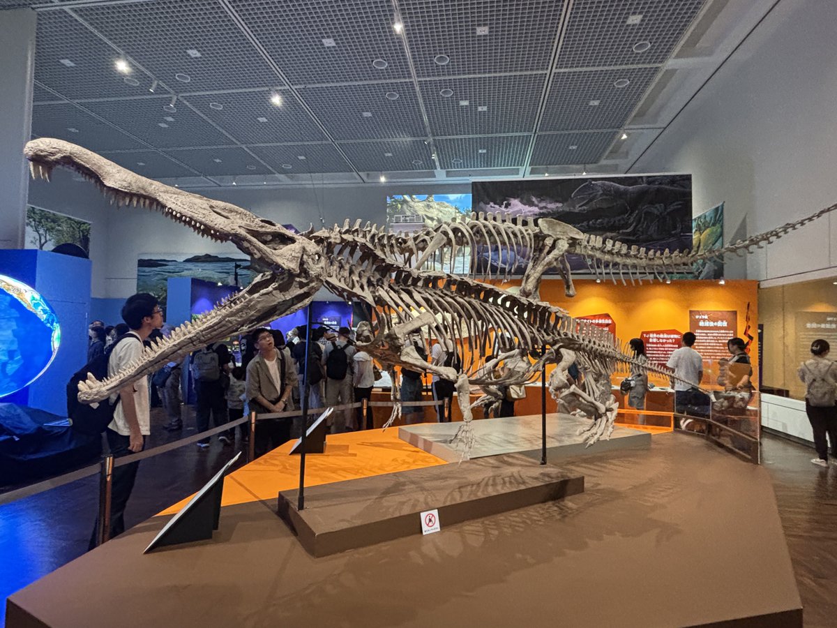 yusuke0902cup's tweet photo. 大絶滅展行ってきました🦖 https://t.co/mdPWrFmRQ2