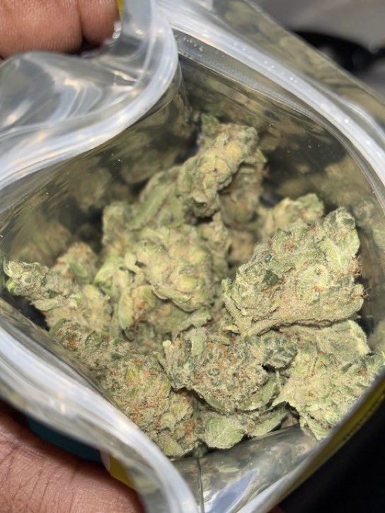 ster6_'s tweet photo. Active and serving Uk weed  London weed Edinburgh weed Manchester weed Liverpool weed Birmingham weed Glasgow weed Bristol weed Oxford weed Cambridge weed York weed Bath weed Brighton weed Cardiff weed Belfast weed Leeds weed Newcastle upon Tyne weed Nottingham weed Sheffield https://t.co/X3ie5anvQf