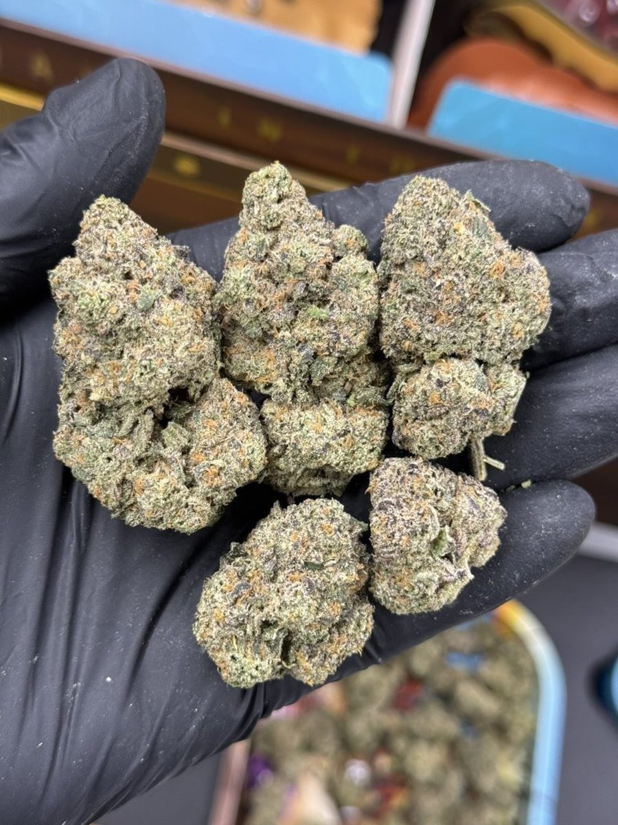ster6_'s tweet photo. Active and serving Australia weed Sydney
Weed Melbourne weed Brisbane weed Gold Coast weed Perth weed Cairns weed Adelaide weed Canberra weed Hobart
Weed Darwin weed Newcastle weed Byron Bay weed Port Douglas weed Noosa Heads
Weed Airlie Beach weed Broome weed Launceston https://t.co/nCghS6qJBG
