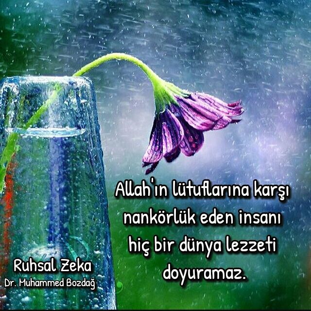 muhammed_bozdag's tweet photo. https://t.co/FzoNt5igWo