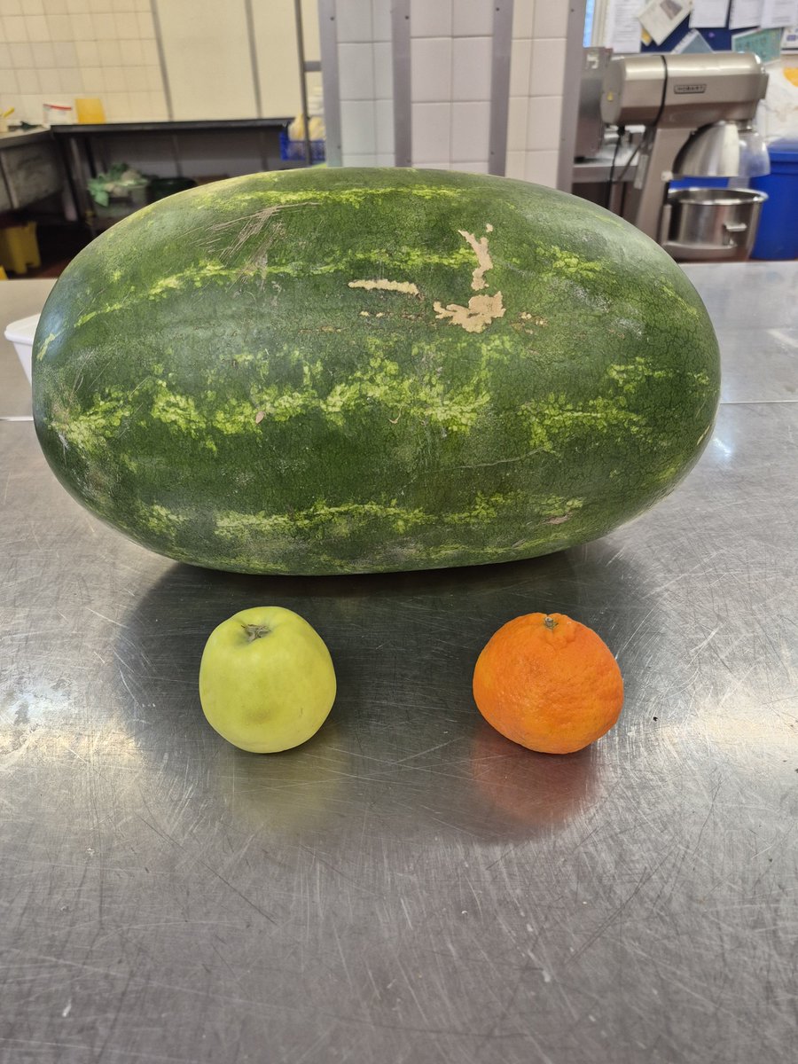 CornockMartyn's tweet photo. I love big juicy melons https://t.co/n2K3YAdsdW