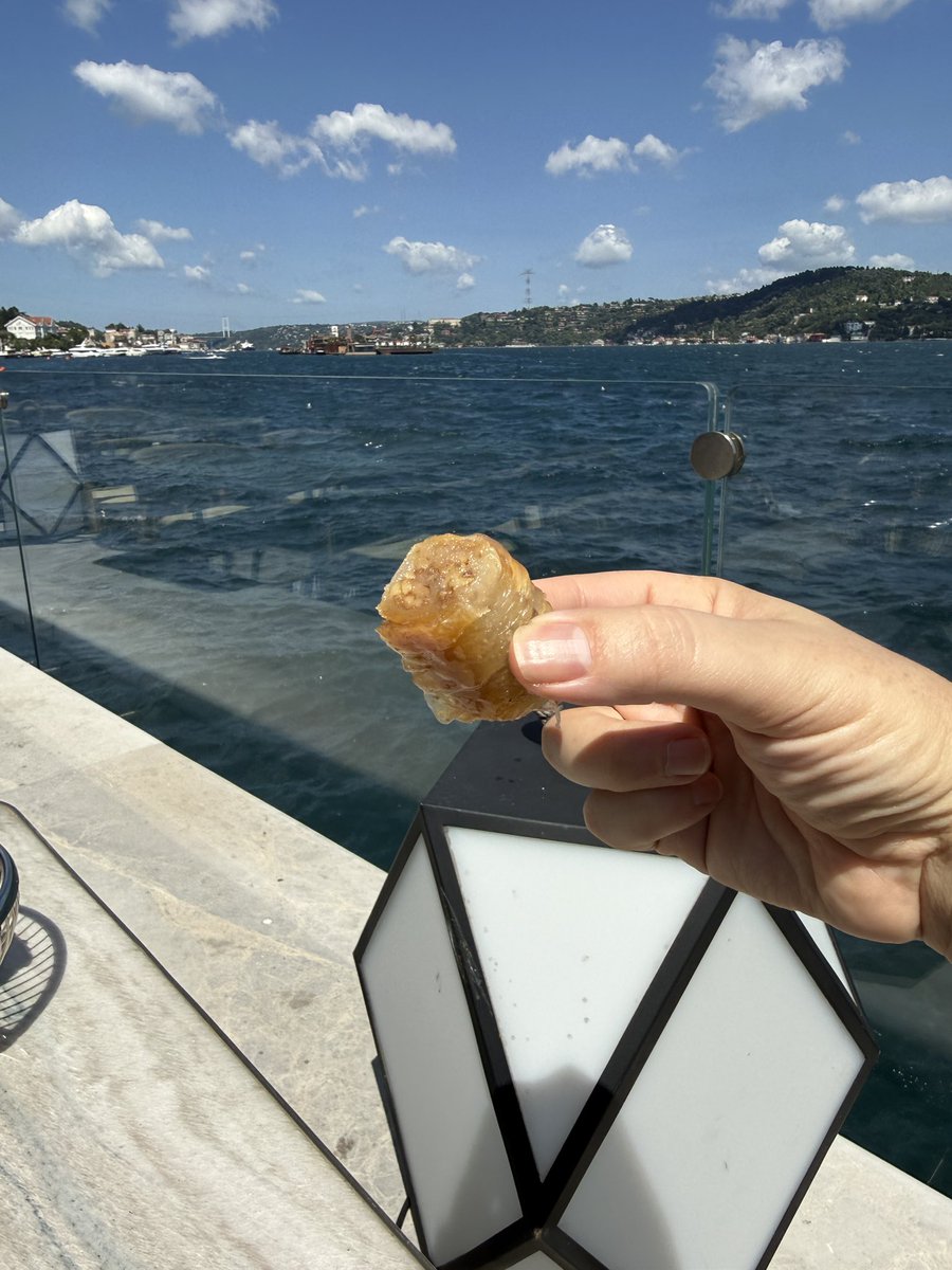 timothysykes's tweet photo. Gooooooooooooooood morning from beautiful #istanbul as it’s been too long since I’ve been to Turkey and my oh my did I miss this PERFECT baklava and coffee with a view! What are you having for breakfast and what are your plans today?! TELL ME IF YOU PROMISE TO STUDY HAAAAAAAARD? https://t.co/xHP4wr10WA