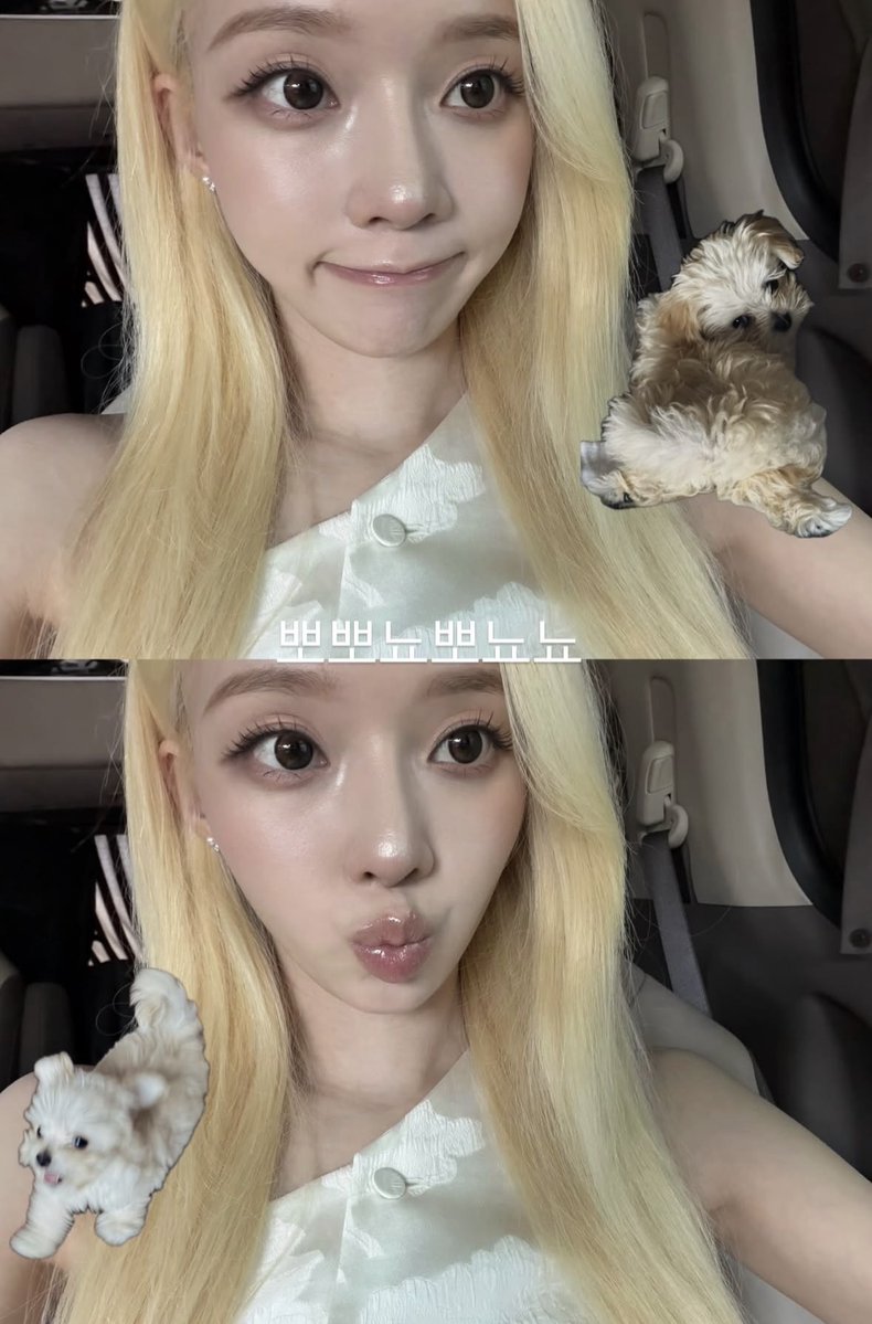 먕이 tweet media