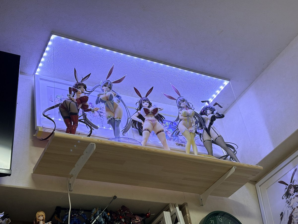 htQqPImOD9WoWL4's tweet photo. 自宅部屋の復旧作業
落下防止としてアクリルパネルの設置と照明を追加。今日なんとか終わらせることできて良かった😌もう地震は懲り懲りです。
#閃乱カグラ 
#バニーの日 https://t.co/40IRwJtY0h