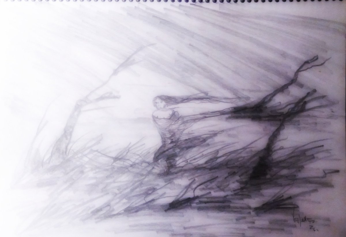 caduvalenca's tweet photo. Caminhada - moleskine. https://t.co/1xRlxlL1s1