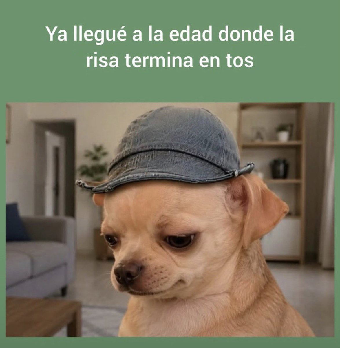 itextosoff's tweet photo. https://t.co/GJUs924DCY
