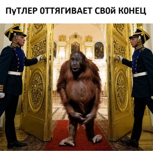 Templar tweet media