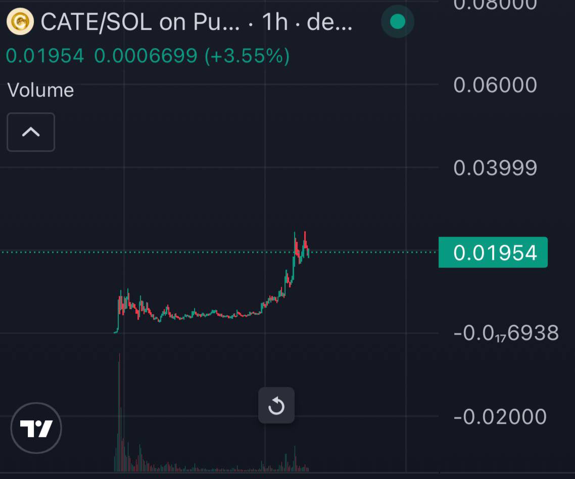 bunnycryptoCT's tweet photo. DOG+E = 88Billion 

CAT+E = ? ? ? ? 

this is the thesis of $CATE https://t.co/ldFoltrVaf