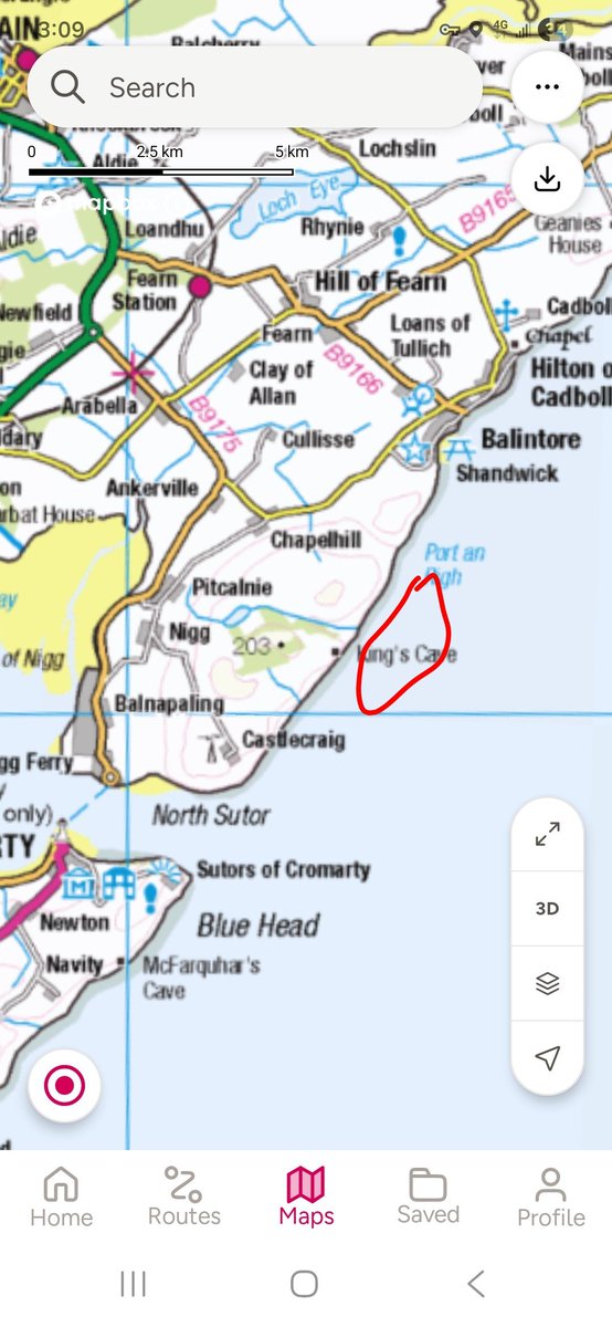 davepullan's tweet photo. Northern Bottlenose Whales here 1430-1500hrs at least, between mouth of Cromarty Firth and Balintore. They've done a big circuit today having been off Nairn and Nairn Bar this morning. https://t.co/y0rDDQ3hQu