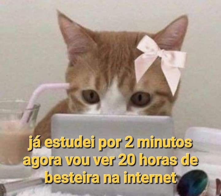 shitpostverdade's tweet photo. https://t.co/ir4iC5MZYG