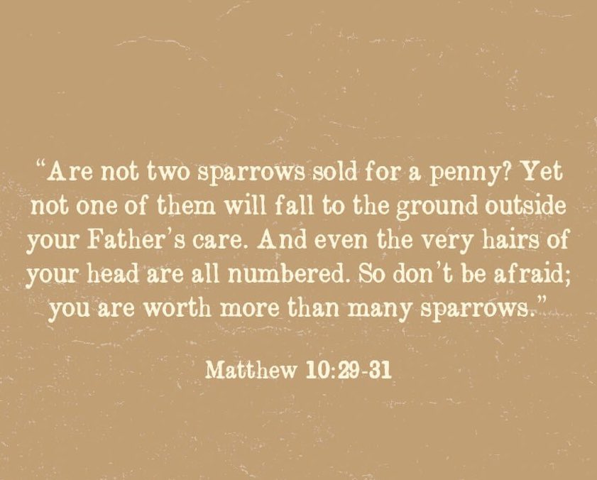 HenryJGasper's tweet photo. Have a wondrous, blessed Sunday! https://t.co/kuevL6uuXP