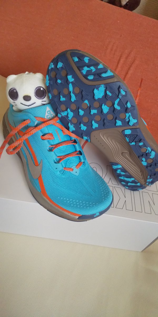 schwein77's tweet photo. 先月の誕生日月割引でオーダーした
ByYouが一緒に届いた
NIKE IDからの累計31足目(ACGペガサストレイル)、32足目(ペガサス42)
共に数字入れられなかったから
SANICHI、SANNI にしてみた
#ランニング
#ウォーキング
#ナイキ
#NIKE
#ペガサス42
#ACGペガサストレイル
#ByYou
#トレイルランニング https://t.co/LlwNsk2SZb