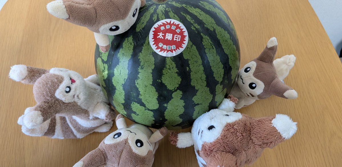 ktn_162's tweet photo. 🍉 https://t.co/zvZiE10Nw0