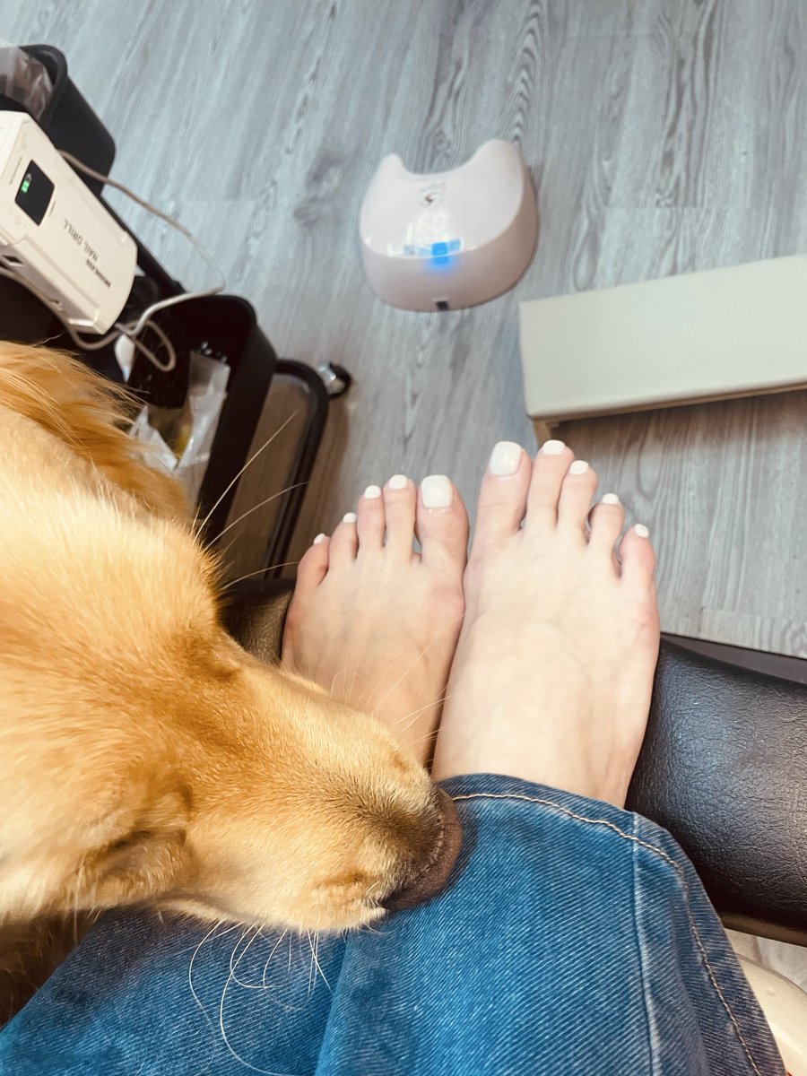 hisasaii's tweet photo. 我的腳腳���黃金獵犬🦶🏻🐶

#足
#戀足
#腳趾 https://t.co/FTwcQtsdCj