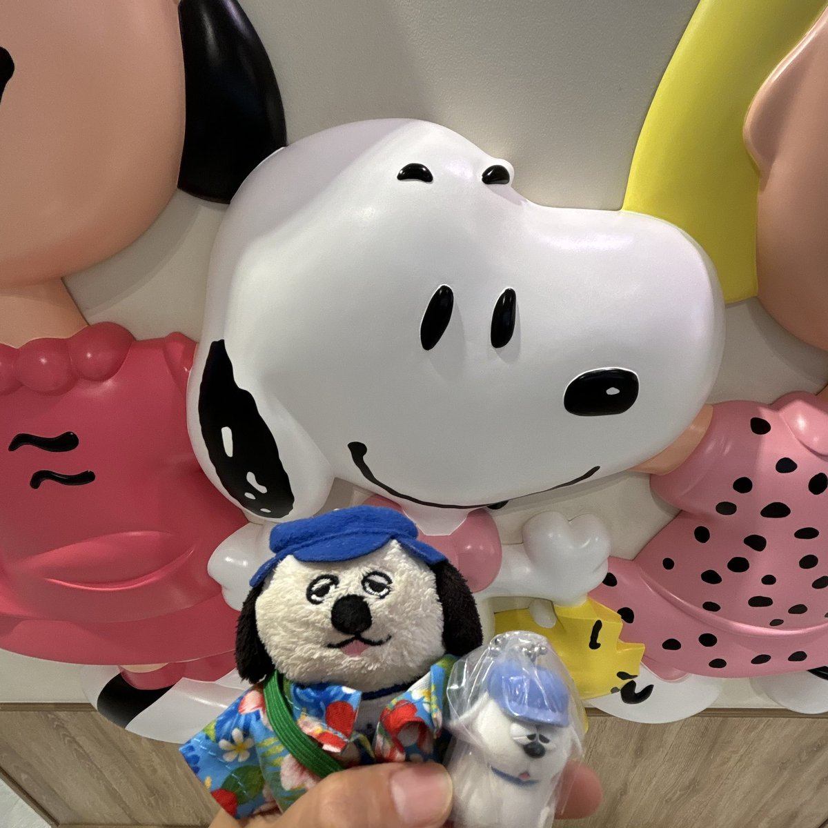 olaf8_10's tweet photo. スヌーピータウン行ったら、フロッキーマスコットチャームのガチャあった！
前にやってたおねいさんがオラフ出てたからオラフ出るかなぁと思ったらオラフ出たー！
　
Green parks行ってオラフバックなかったからお取り寄せさてきた😄 https://t.co/QaJ9Uwat5I