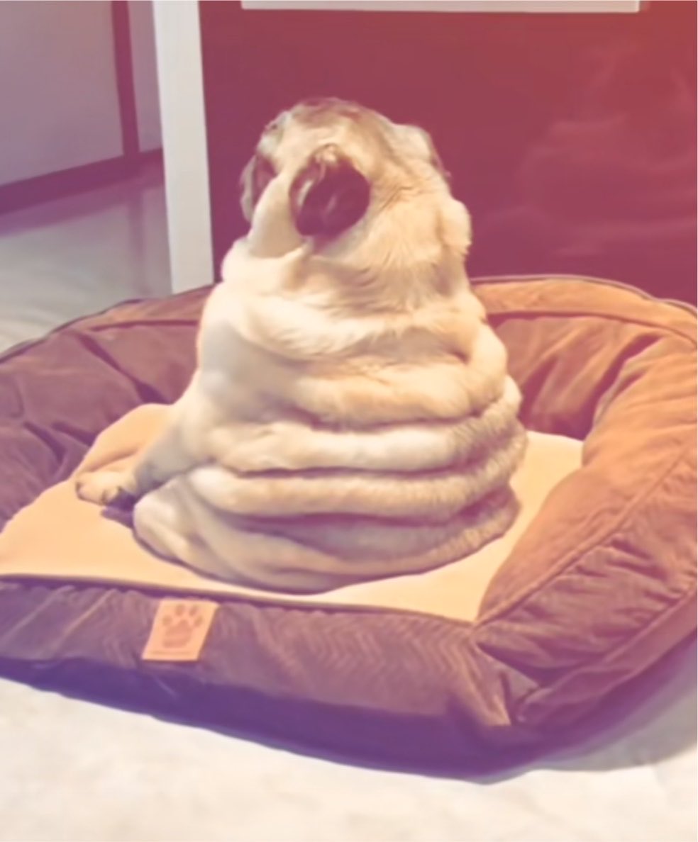 yas! (-4/11kg) tweet media