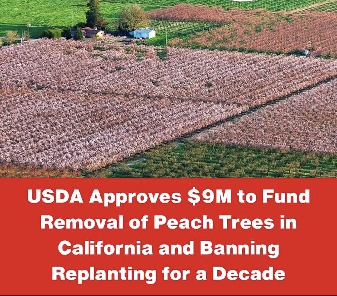 RealDrJaneRuby's tweet photo. The @USDA United States Department of Agriculture should be reclassified a Domestic Enemy https://t.co/cjr0RAZ8kf