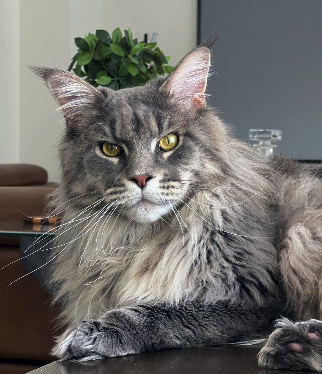 Skrubski's tweet photo. @AbolishEGirls This is Atreus aka BOY, destroyer of plants https://t.co/YIUun9xiqE
