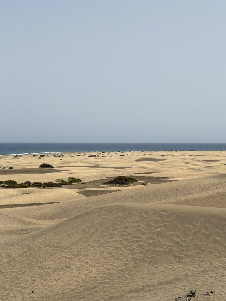 mycanaryislands tweet picture