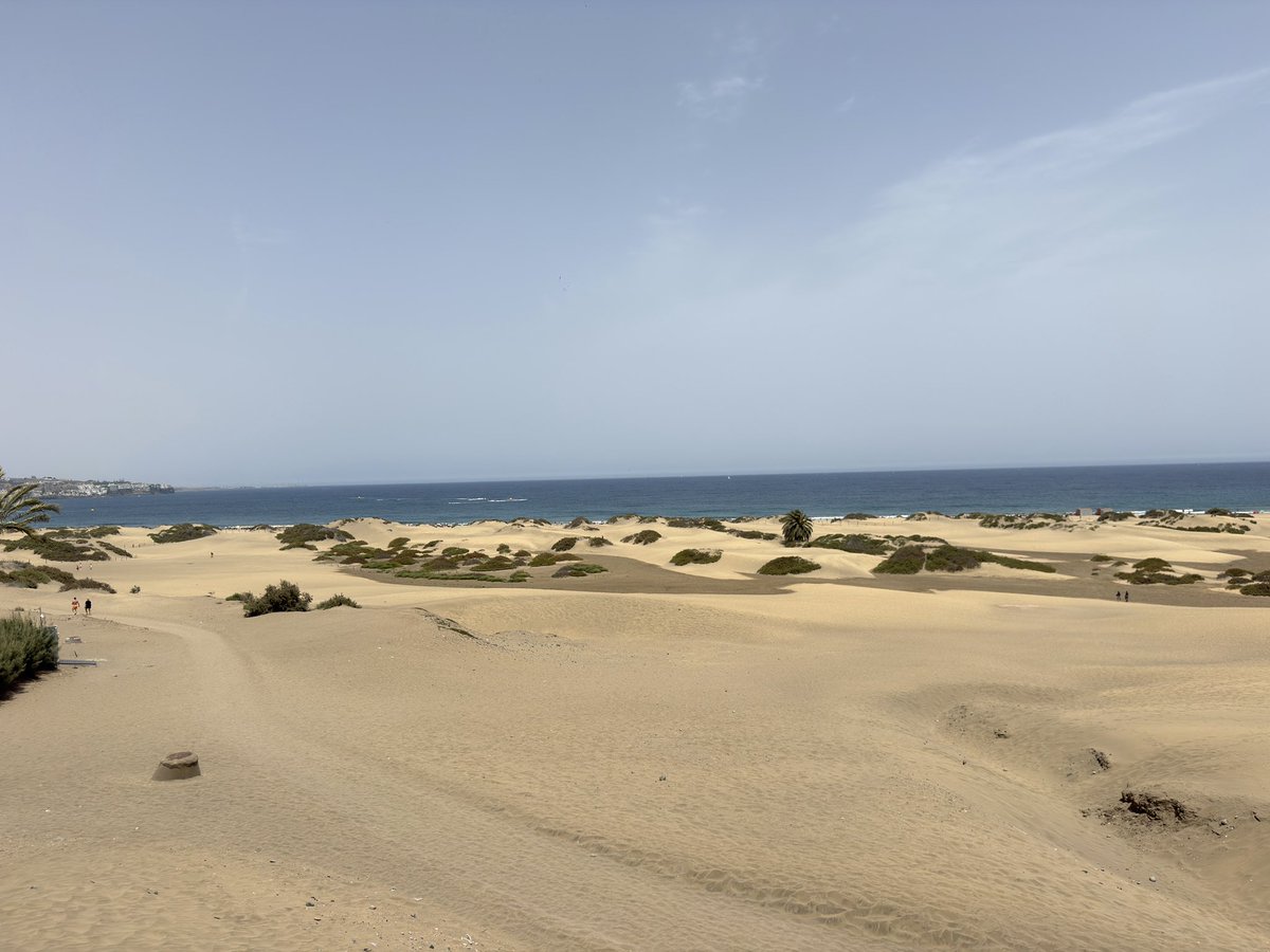 mycanaryislands tweet picture