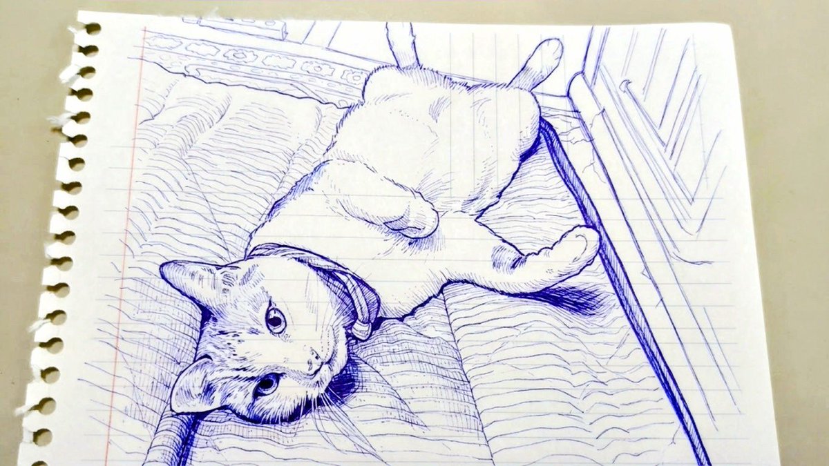 hachihappy08's tweet photo. 暑中お見舞い申し上げます🎐 https://t.co/G2Yr0Bu6Z1