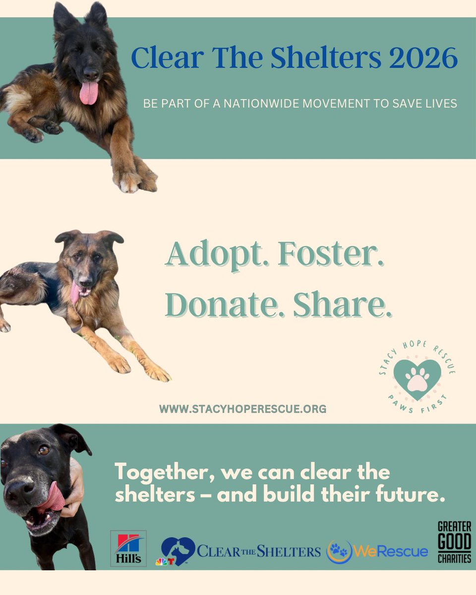 Iza_2021's tweet photo. I think my account is shadow banned 😭 our pups don’t receive much attention since weeks and same for our pleas for donations! 
@StacyHopeRescue has decided to close intakes even if we have space! 

Which is heartbreaking bc every single shelter is overcrowded and most rescues are at capacity. 😔

Out of state adoptions: If you “just need a rescue to tag” that is NOT us. We pull, we train, we keep local for weeks, we assess, we check medical… so it still needs time, energy, funds, coordination and commitment.

What you can do to help? 
- Share, donate, adopt and foster the dogs already in our care. 
https://t.co/kdsKsdBX57