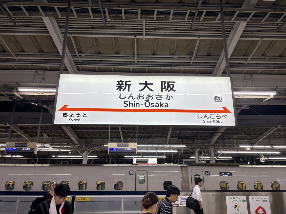 gosshin's tweet photo. ただいマンモス。 https://t.co/gGlIcoubKn