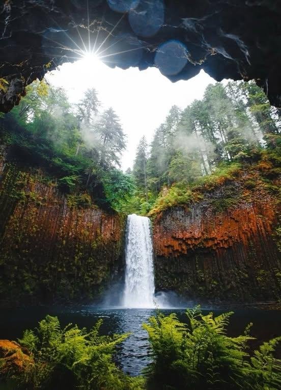 ChoogeWa's tweet photo. Oregon, USA 🇺🇲📍 https://t.co/qO2kFVpBGF